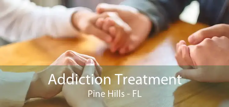 Addiction Treatment Pine Hills - FL