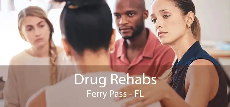 Drug Rehabs Ferry Pass - FL