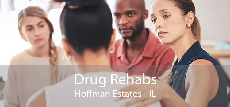 Drug Rehabs Hoffman Estates - IL