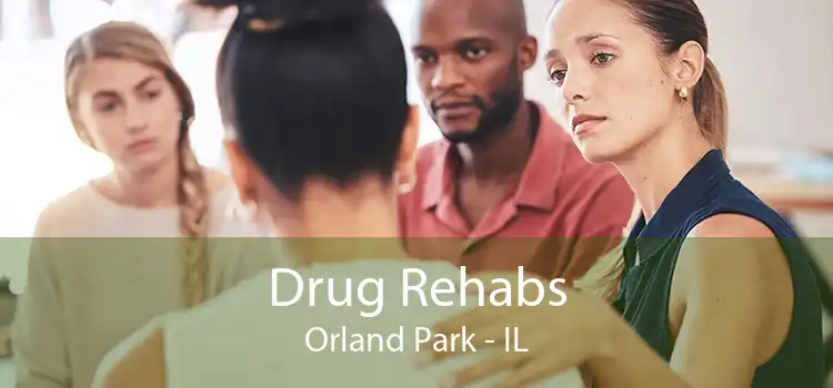 Drug Rehabs Orland Park - IL