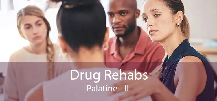 Drug Rehabs Palatine - IL