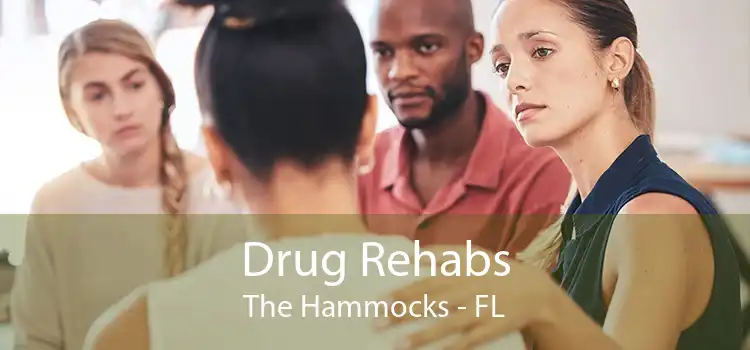 Drug Rehabs The Hammocks - FL