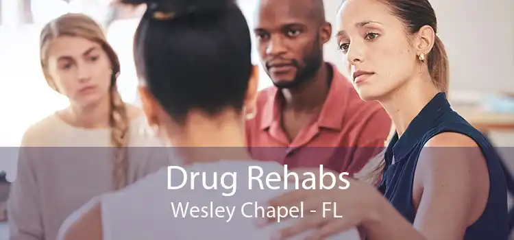 Drug Rehabs Wesley Chapel - FL